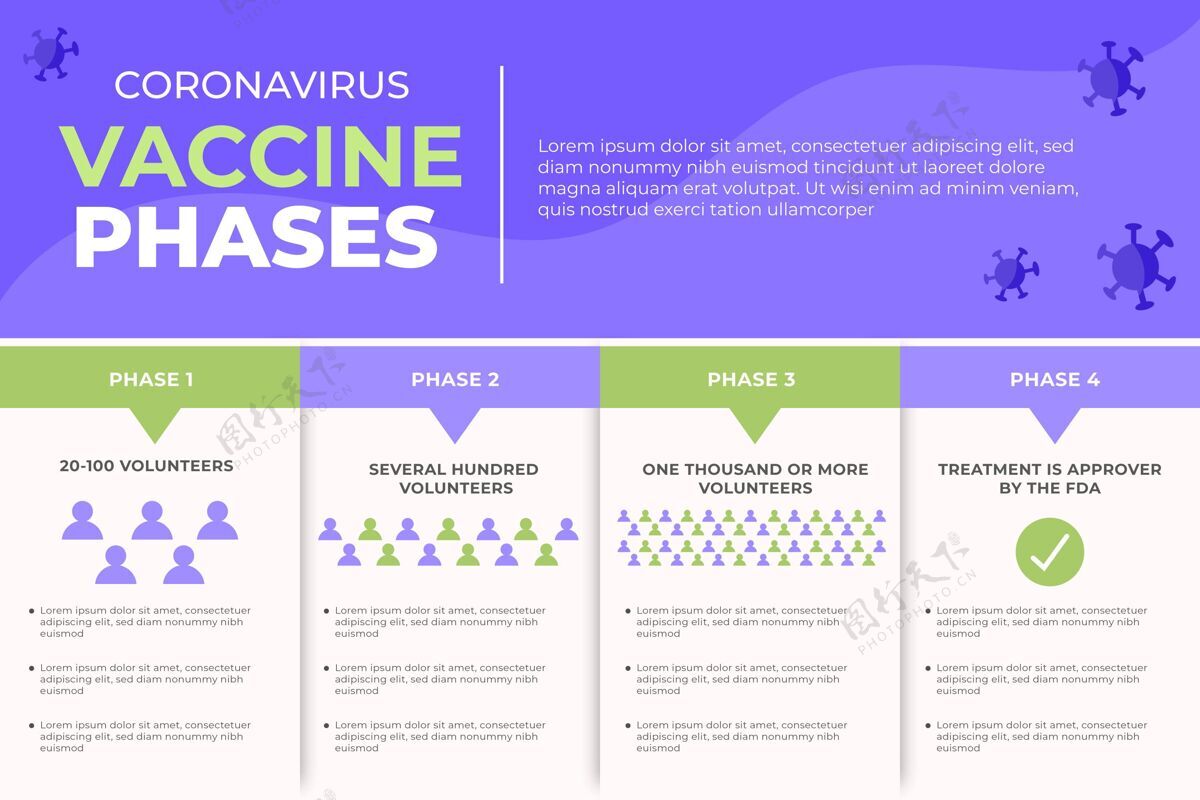 信息扁平冠状病毒疫苗阶段信息图疫苗阶段数据信息