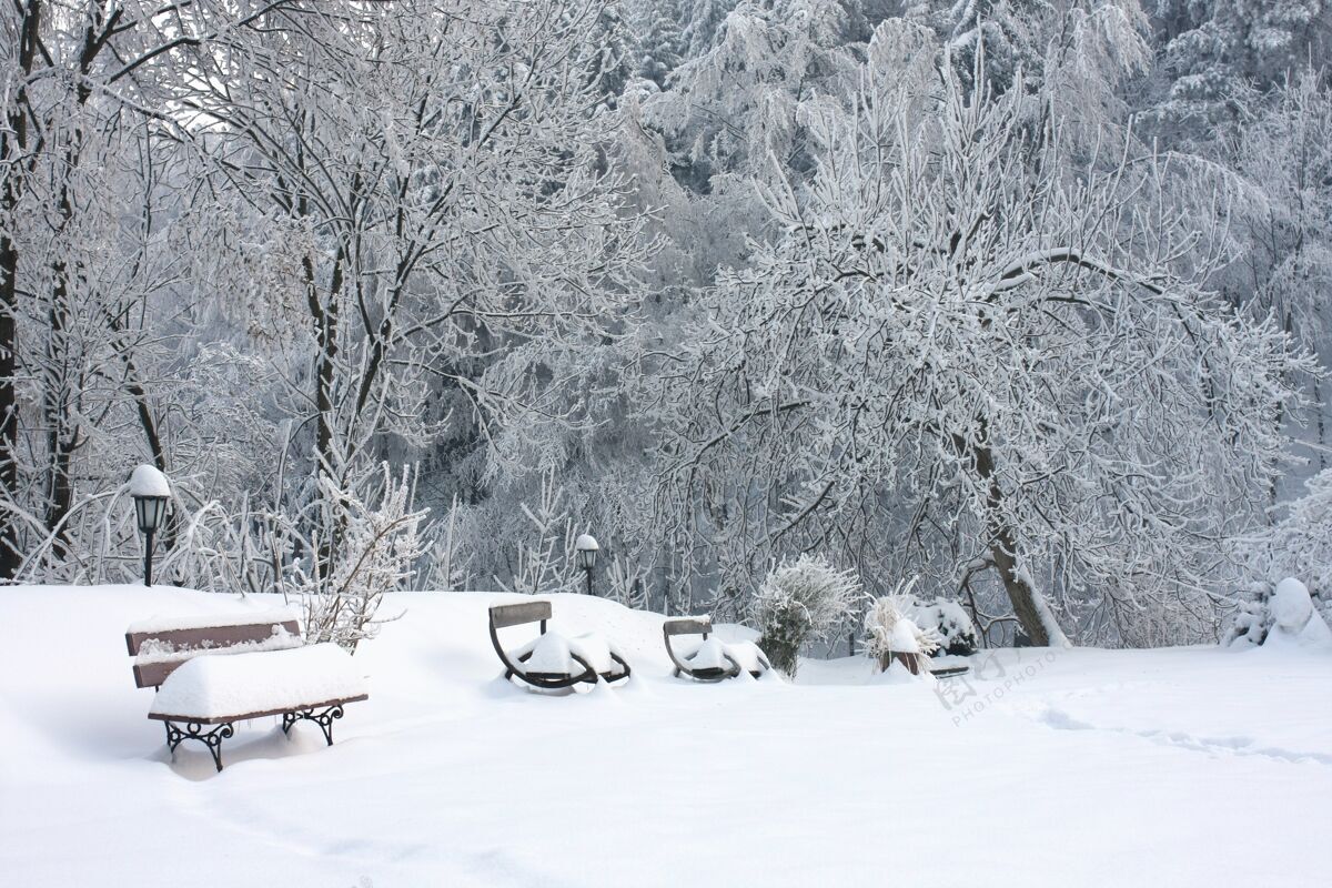 户外雪地上的树旁的木凳上覆盖着雪冰冻自然霜冻
