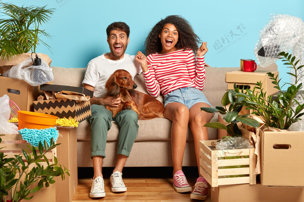 纸板喜出望外的夫妇坐在沙发上 狗被纸板箱包围男性动物庆祝