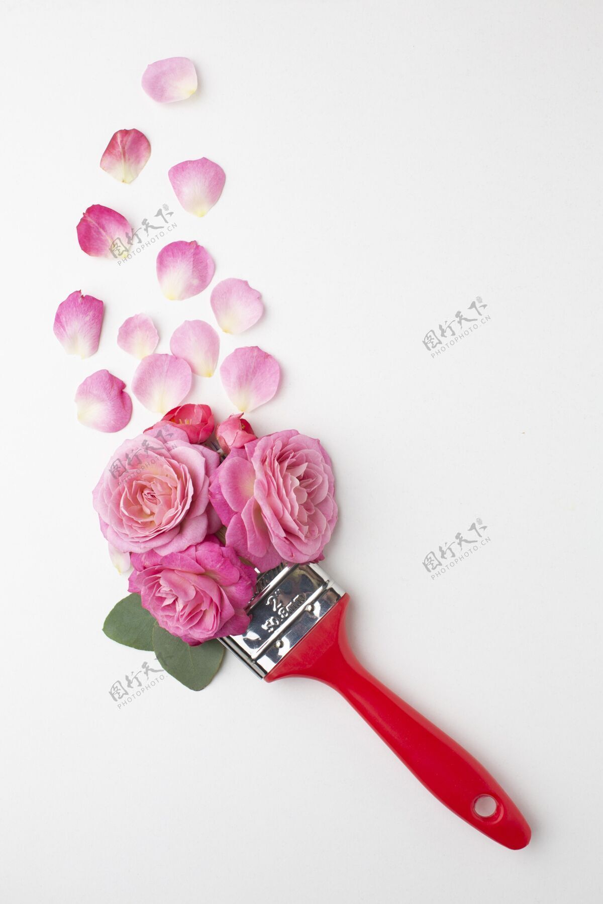 画笔顶视图？玫瑰花和画笔花瓣花朵花朵