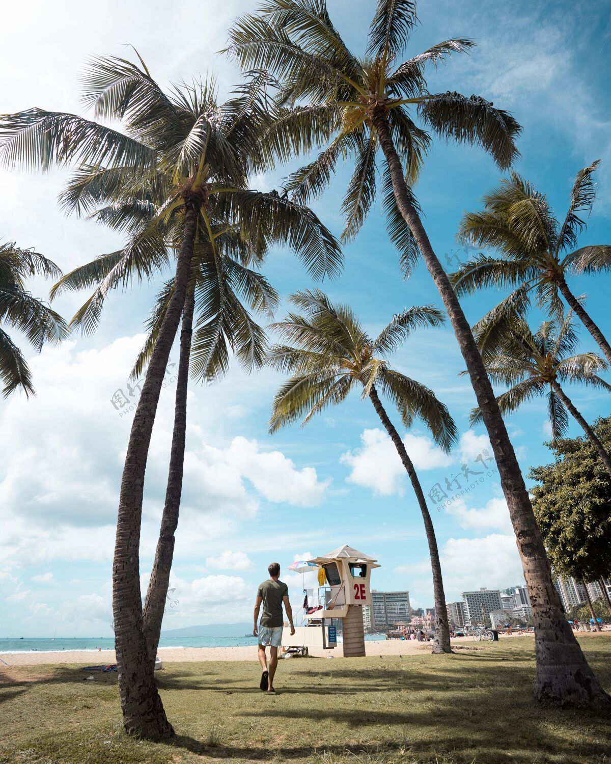 景观一个男人走在棕榈树覆盖的海滩上 一边享受阳光的垂直镜头阳光美丽浪