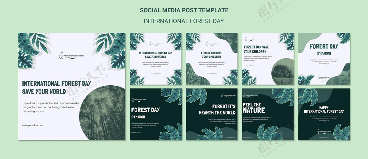 环境Instagram为国际森林日庆典发布了一系列帖子社交媒体帖子自然Instagram