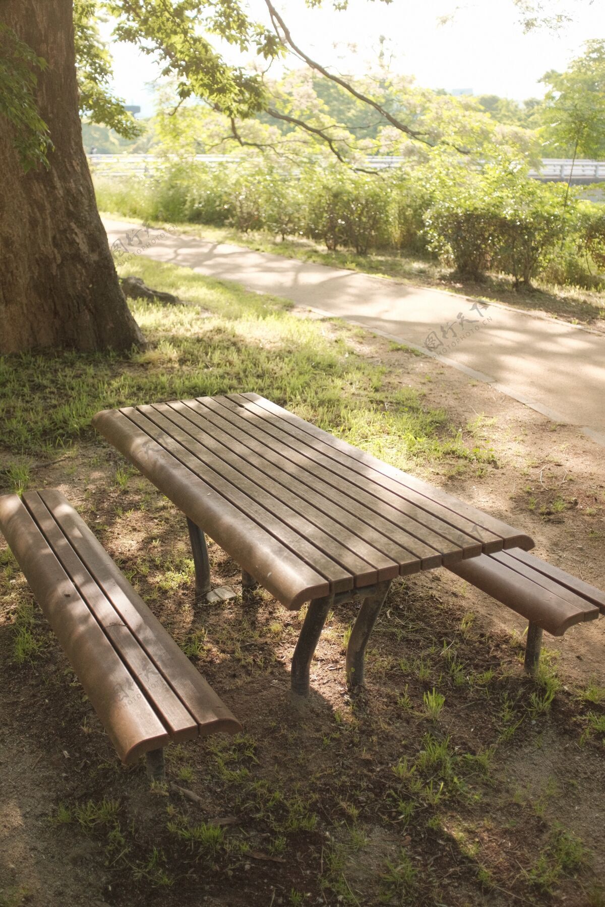 树美丽的照片与两个木制长凳和一张桌子的前景公园木头户外桌子