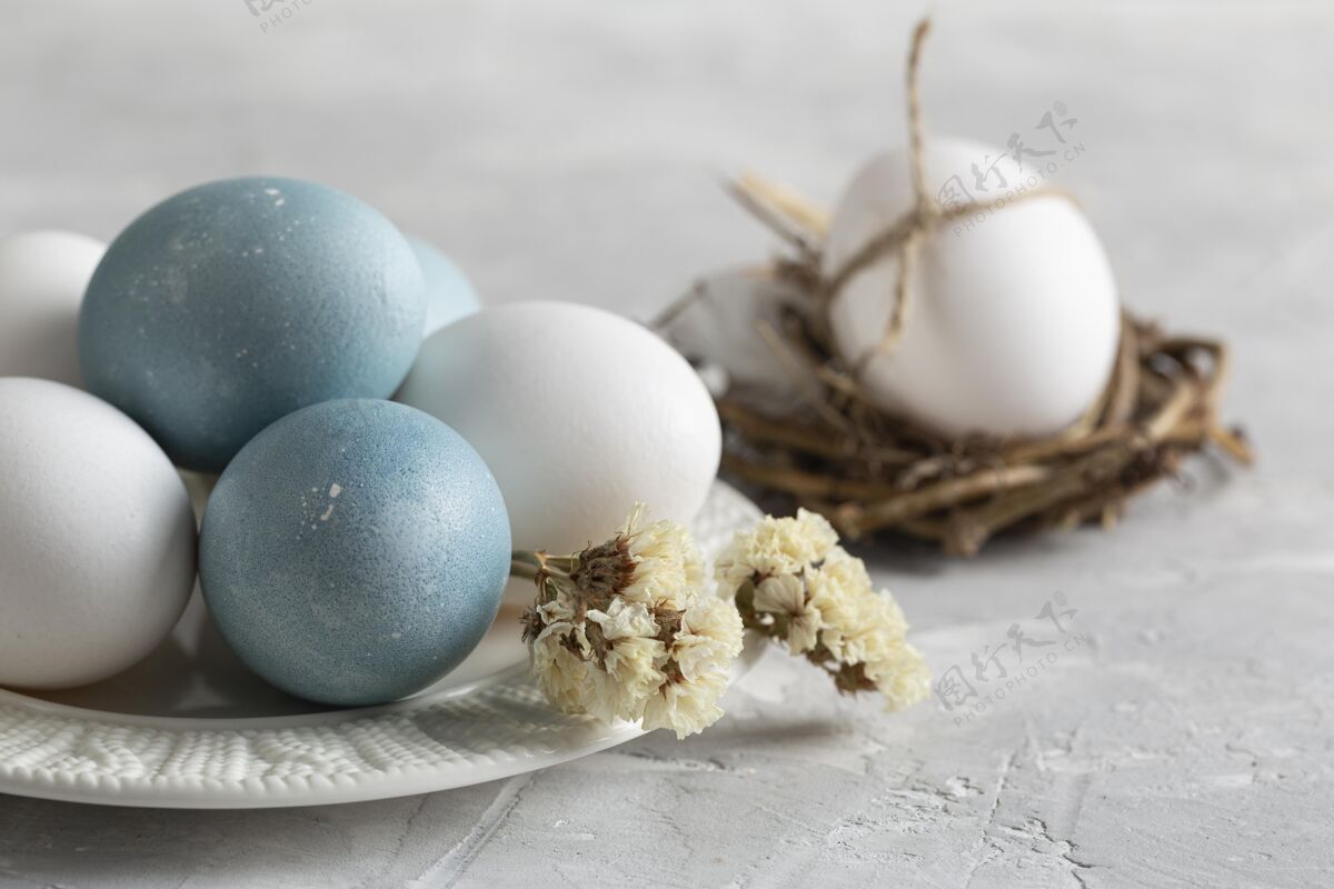 复活星期天高角度的复活节彩蛋在鸟巢里用盘子和鲜花树枝庆祝巢