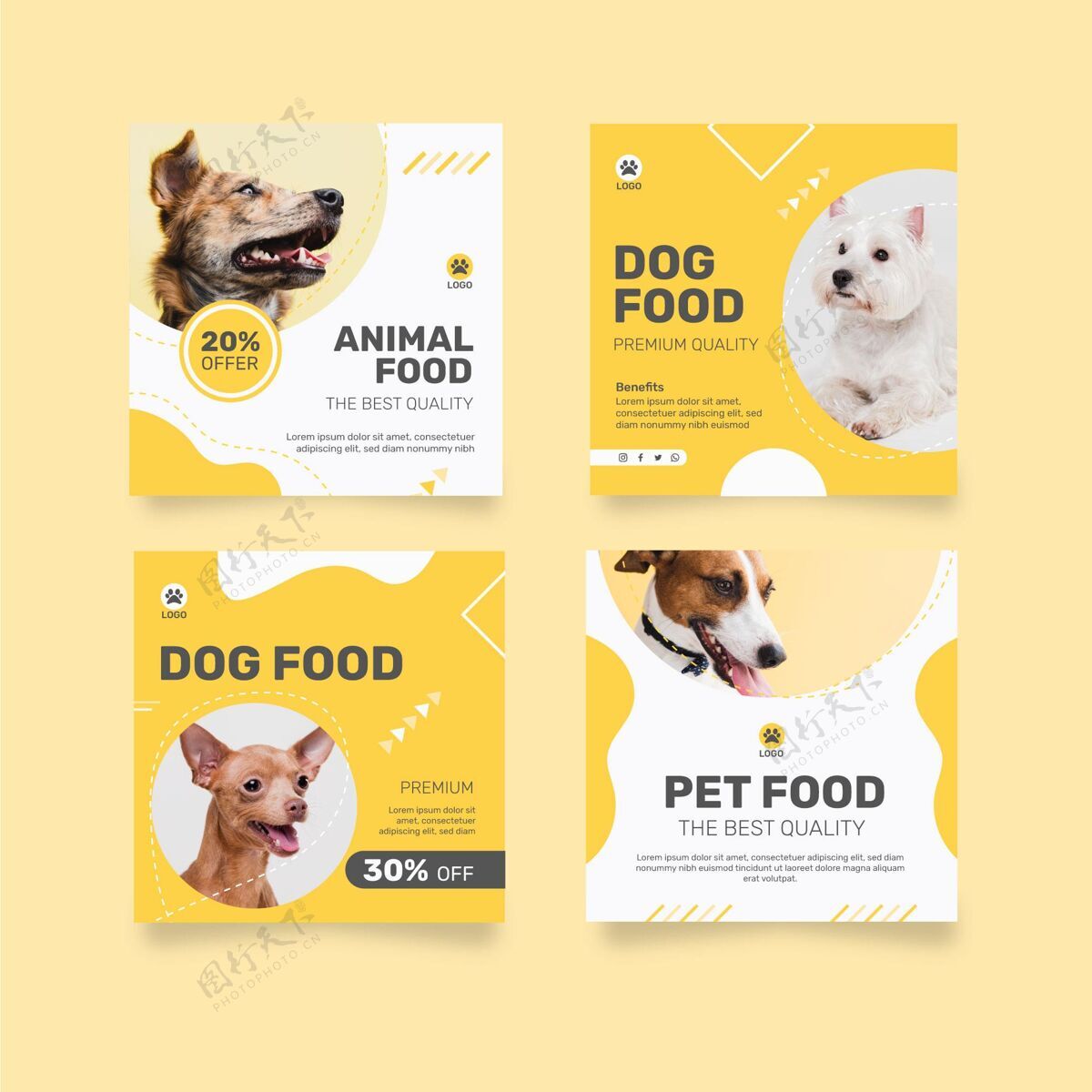 网站Instagram发布了一个关于狗的动物食品的集合食品狗狗