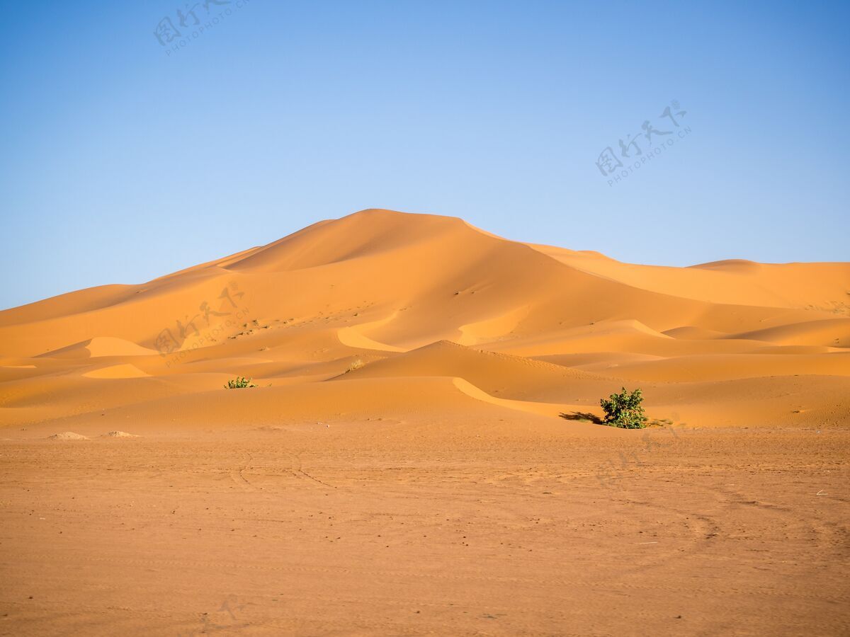 风景阳光下的撒哈拉沙漠和非洲摩洛哥的蓝天干旱炎热炎热