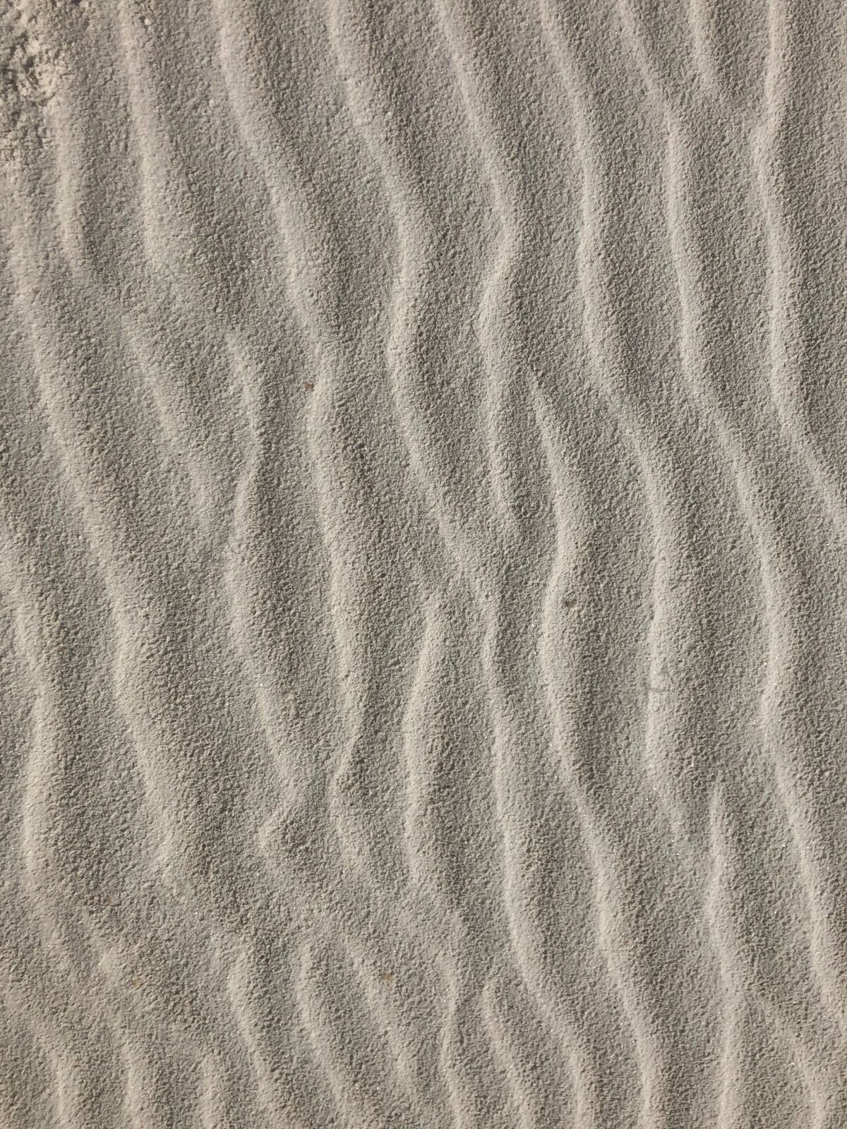 灰尘沙漠中的风沙背景海滩空细节