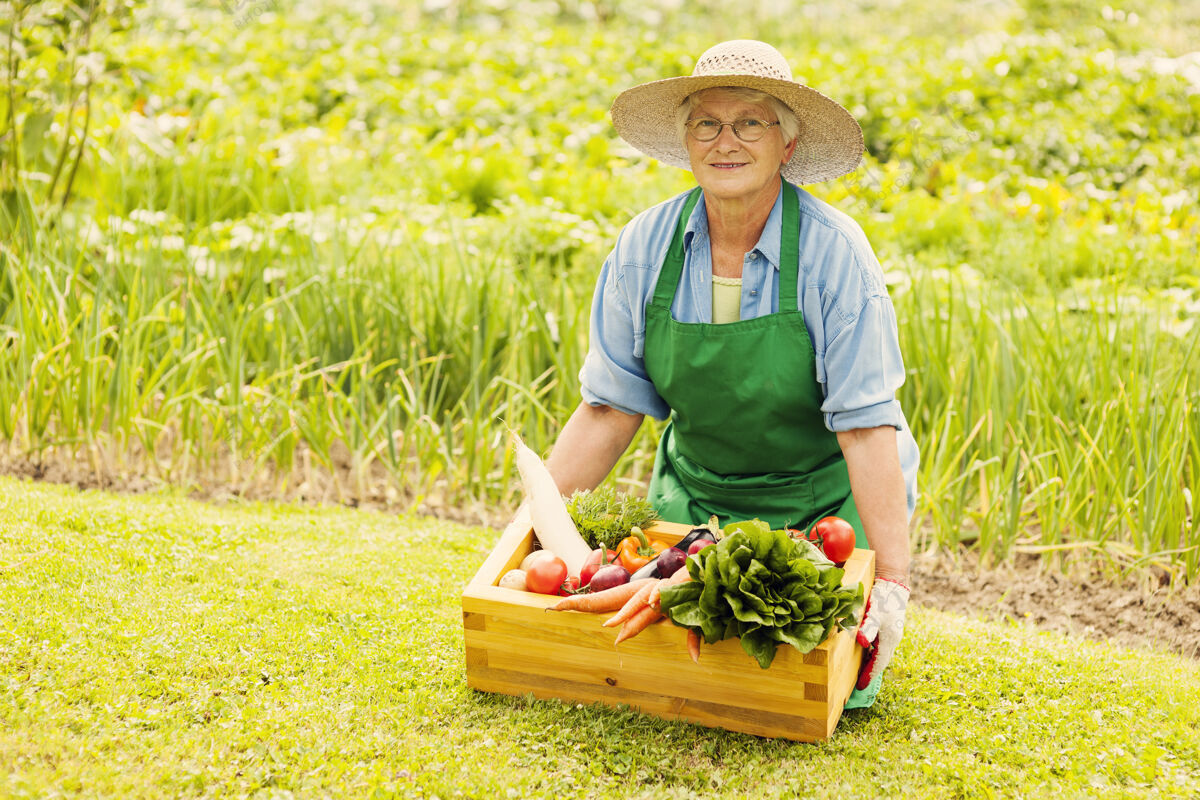 蔬菜老妇人拿着蔬菜帽子农场抱着