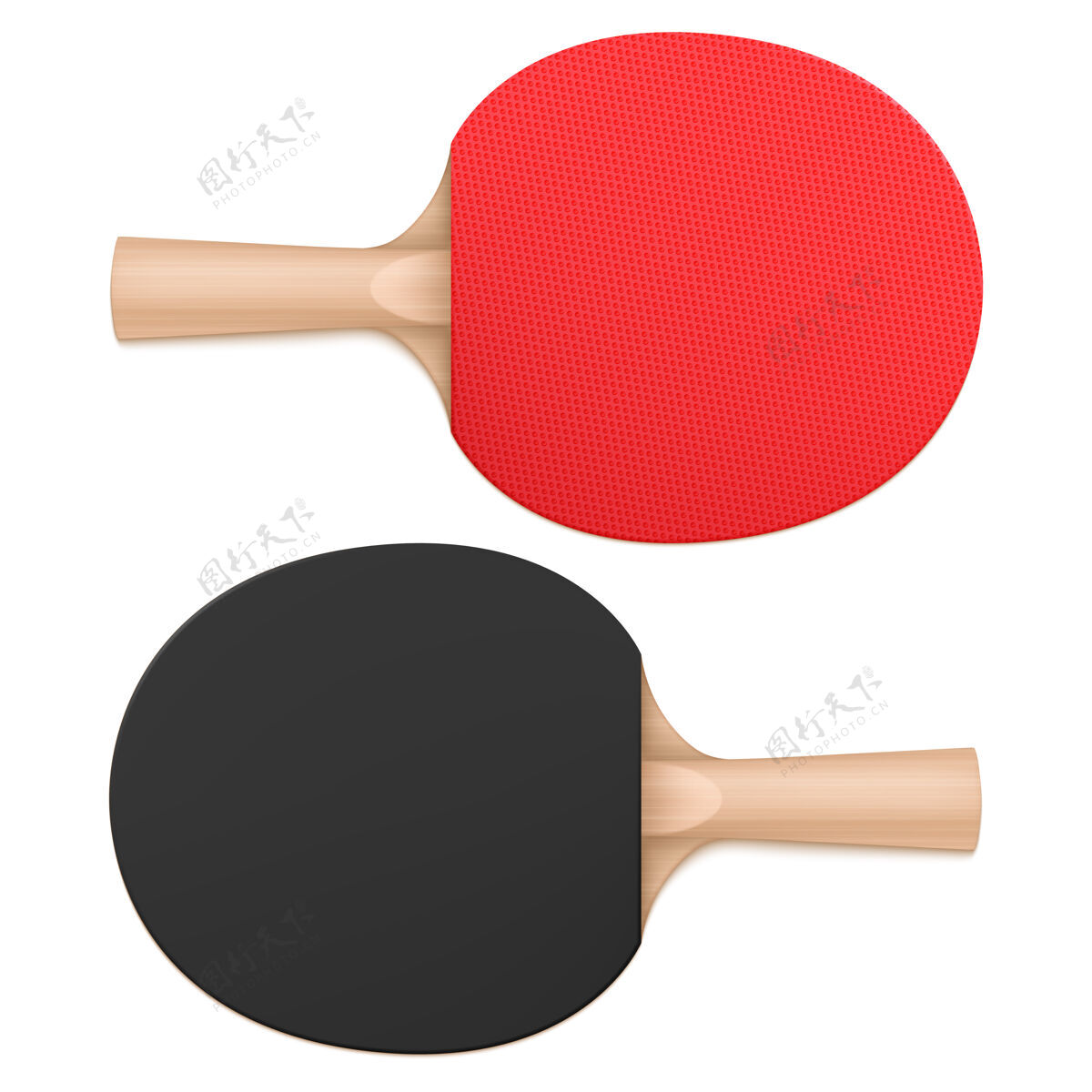 木材乒乓球拍 乒乓球拍 上下视图运动器材 木制手柄和橡胶 红黑相间的球拍表面 白色背景 真实的三维矢量插图乒乓球手柄比赛