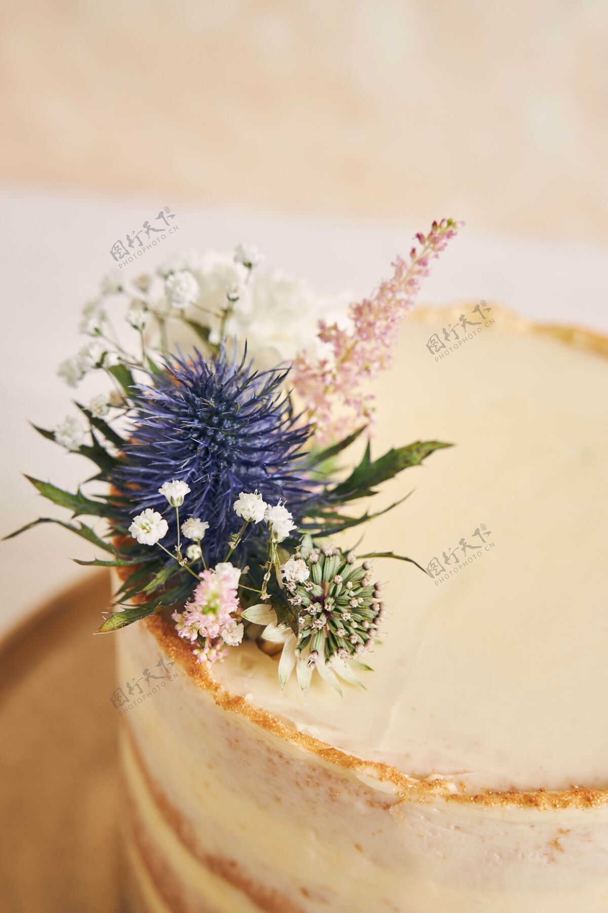 边缘美丽可口的蛋糕 白色表面有花朵和金色的边缘美味花美丽