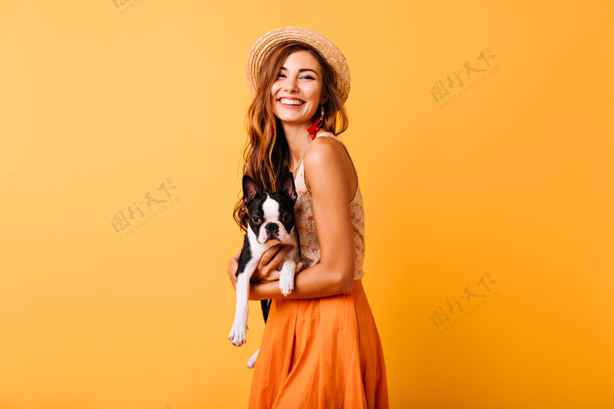 成人令人惊艳的姜汁女孩在夏季服装举行法国斗牛犬迷人的年轻女子在帽子笑 在与小狗的肖像拍摄快乐室内女士