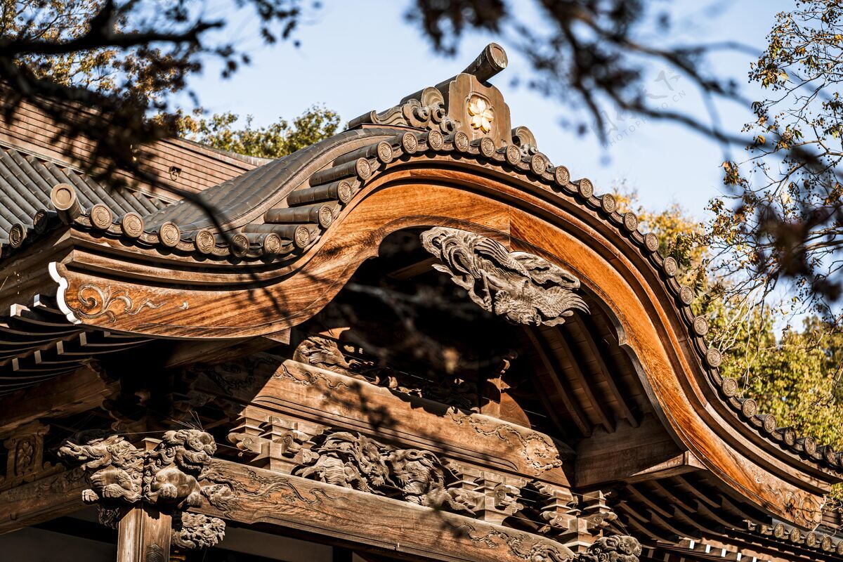水平传统日本木结构的特写镜头向上圣殿寺庙