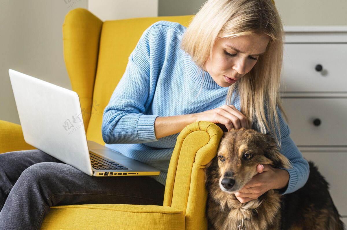 距离在流感大流行期间 一位妇女坐在扶手椅上用笔记本电脑 抚摸她的狗水平雌性隐居