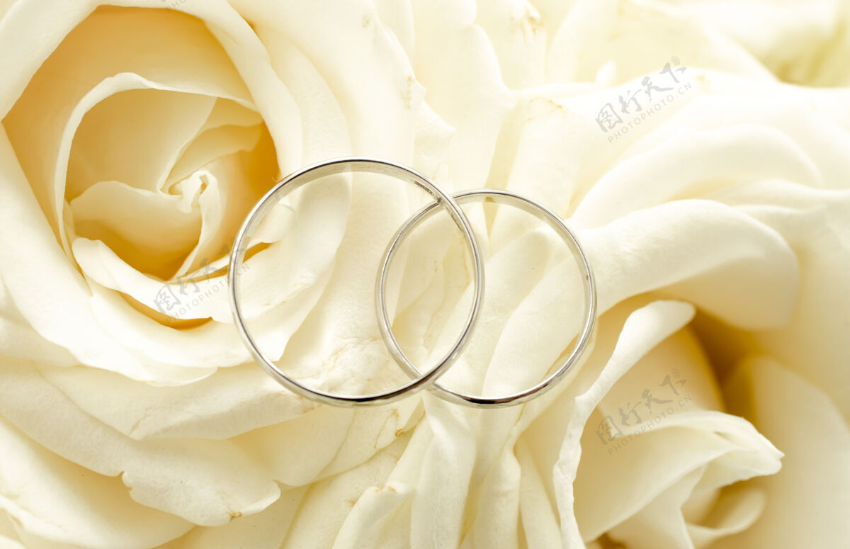 周年纪念放在新娘花束上的两枚结婚戒指的宏观视图求婚场合优雅