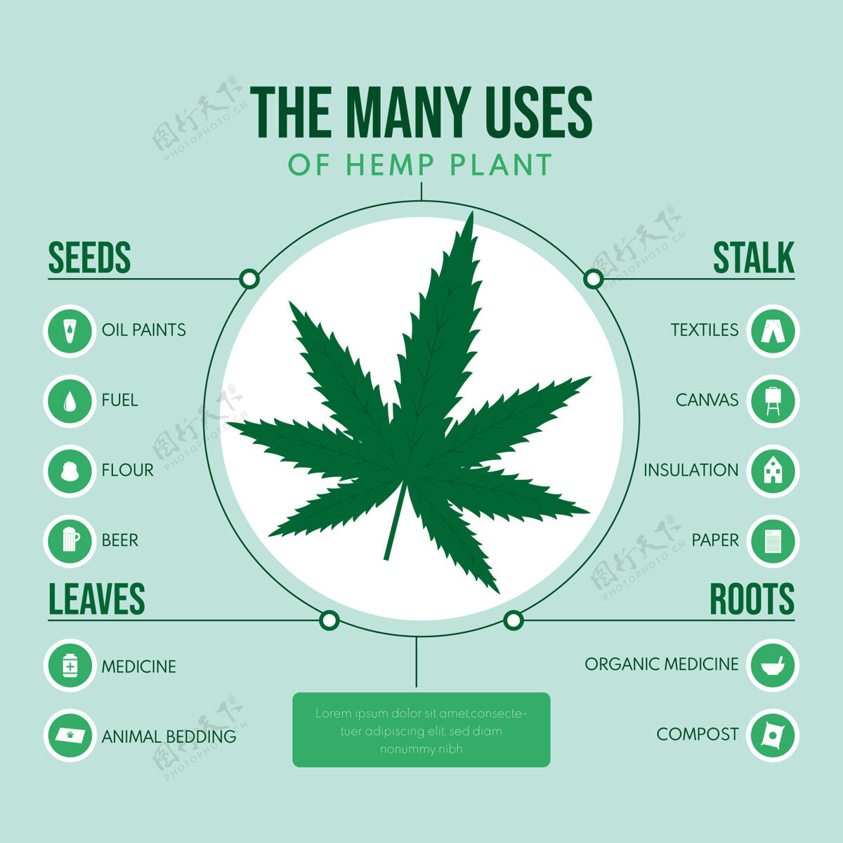 模板大麻植物的用途信息图信息图大麻医疗保健