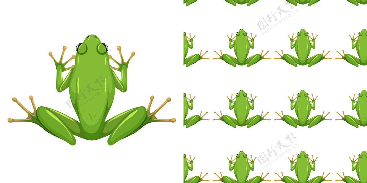 彩色美国绿树蛙隔离在白色背景和无缝系列卡通动物