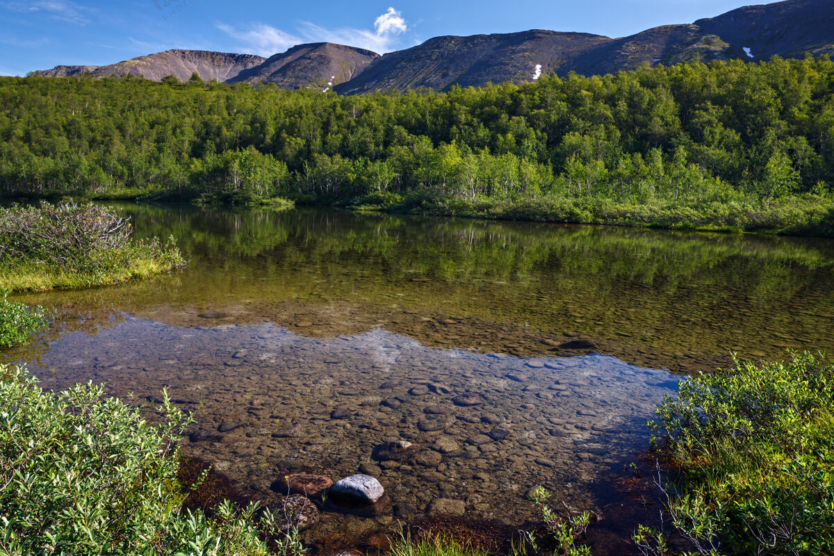 俄罗斯山湖清澈的水科拉半岛 基比尼俄罗斯环境清澈石头